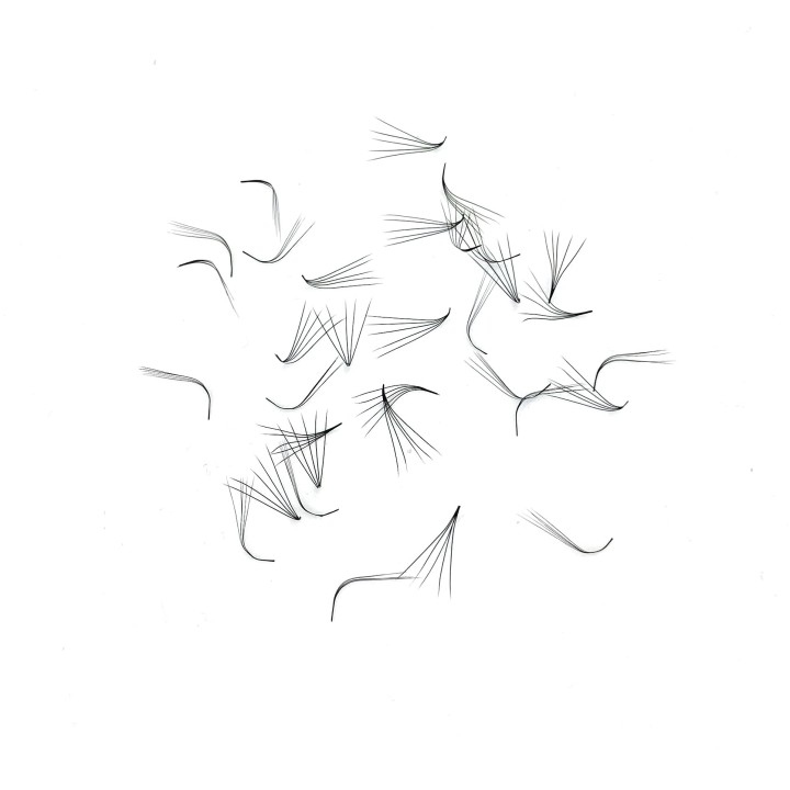 COURBES L ET M 5D MIXTE 4000 BOUQUETS - COLLECTION BELLE